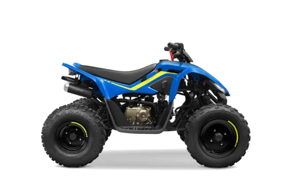 CFMoto CForce 110