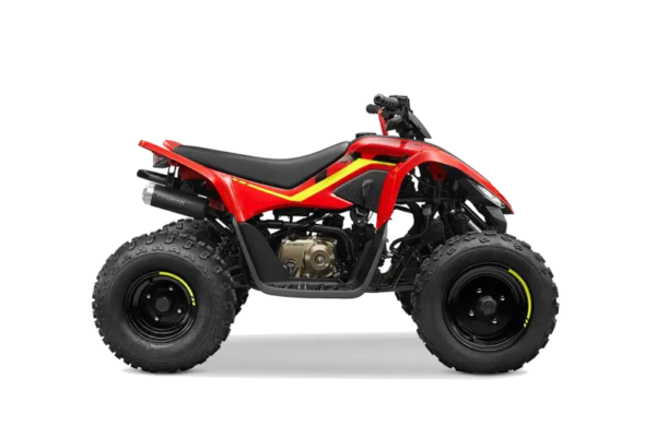 CFMoto CForce 110