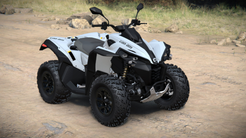 Custom Renegade-650-T 2.07.2024 at 08.28(5)