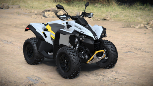 Custom Renegade-X-xc-650-T 2.07.2024 at 08.38 (2)