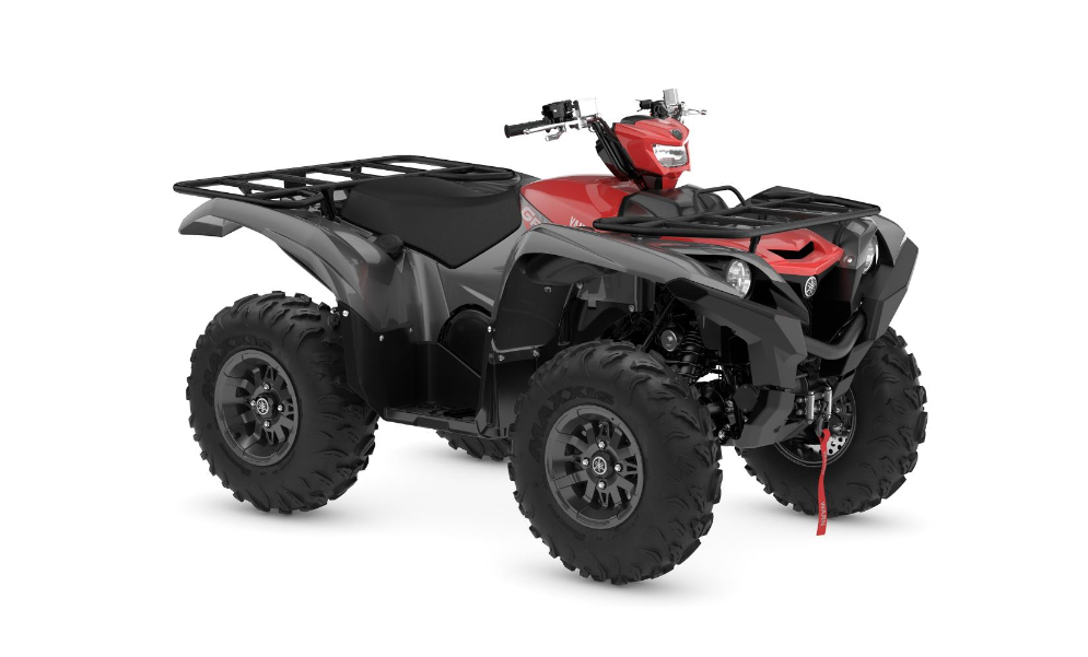 Screenshot 2025-01-24 at 16-20-43 poczta.nazwa.pl ATV MY 2025 - Distributors.pdf