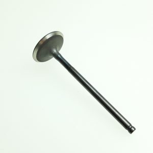 VALVE, intake
