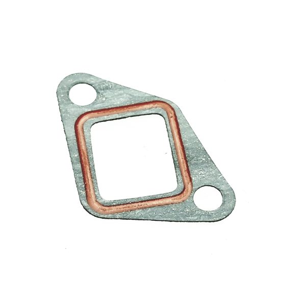 Gasket, Chain Tensioner