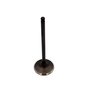 VALVE, INTAKE