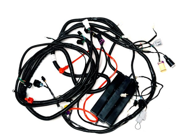 WIRING HARNESS(FOR EUROPE)