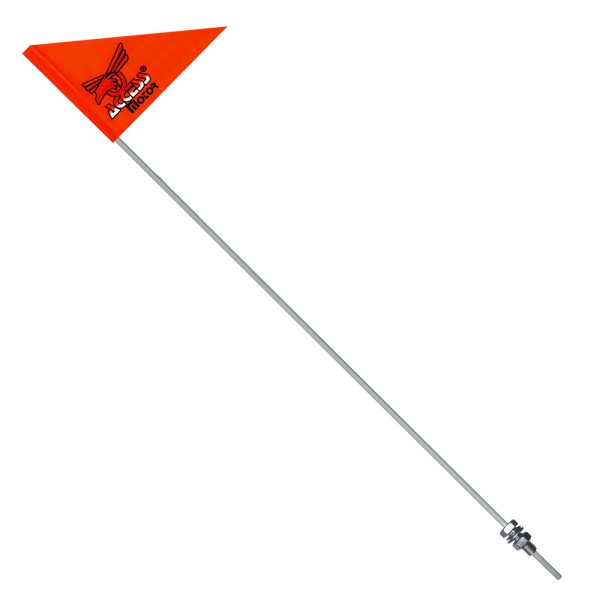 Access SECURITY FLAG SET (DRR)
