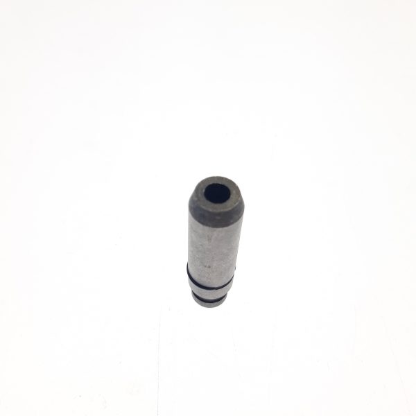 GUIDE INTAKE VALVE