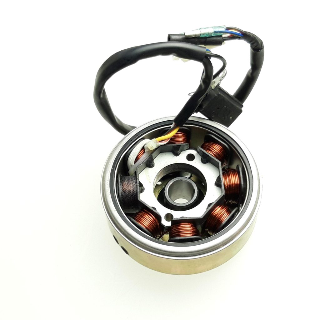 FLYWHEEL MAGNETO ASSY