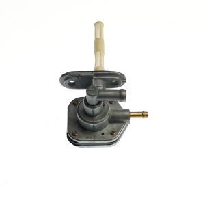 Valve, Fuel