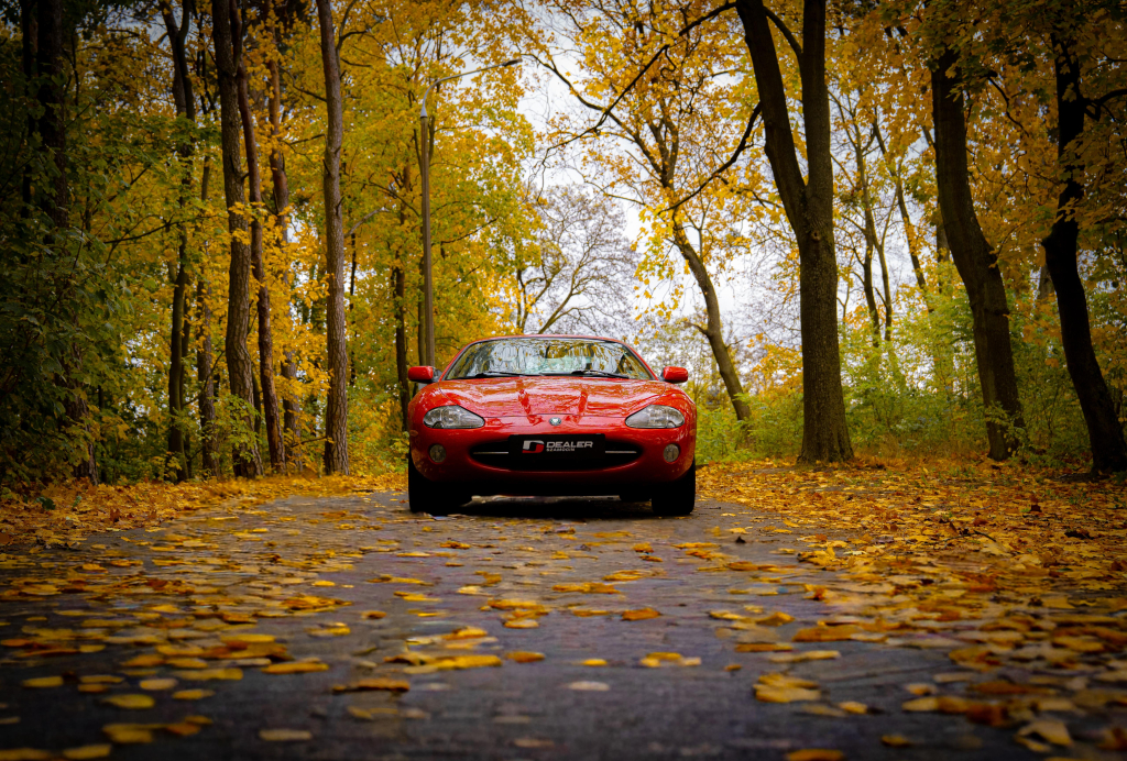 Jaguar XK8 4.0 V8 290 KM | 2001 r.