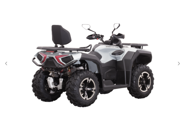 Hisun Guardian 750