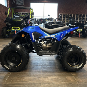 LINHAI 110 JUNIOR - obrazek 2