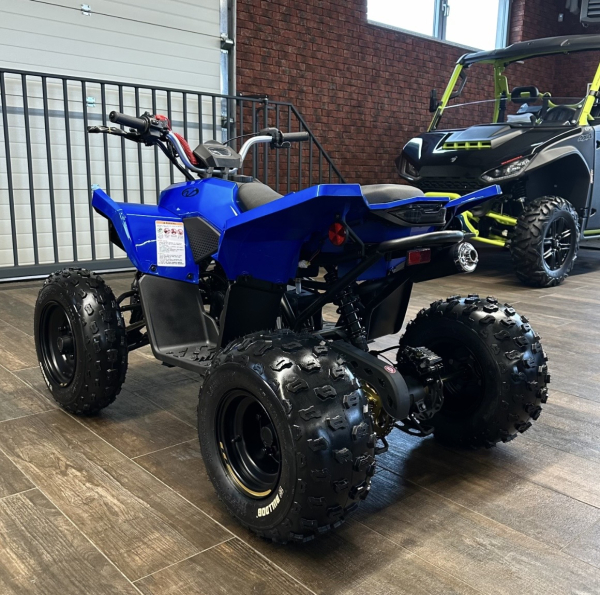 LINHAI 110 JUNIOR
