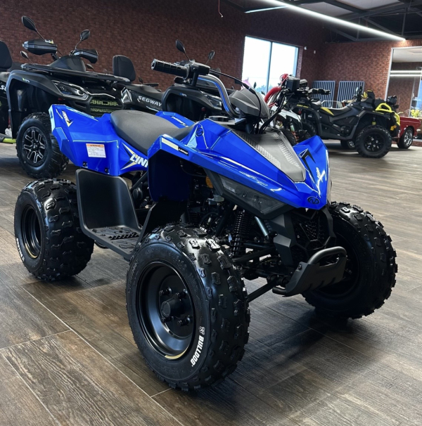 LINHAI 110 JUNIOR