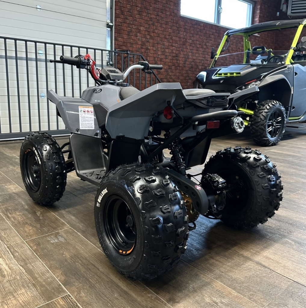 LINHAI 110 JUNIOR