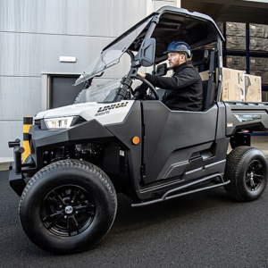 Linhai LH-80DU Electric - obrazek 4