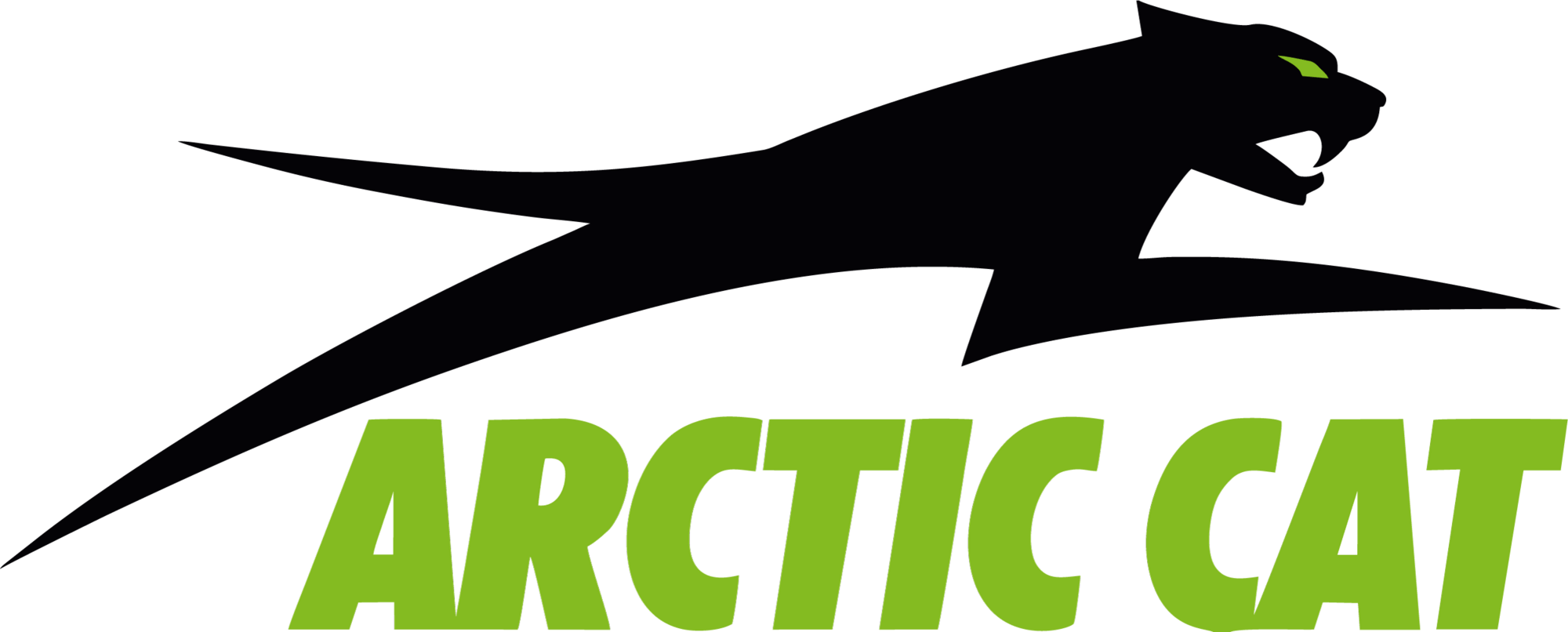 ARCTIC CAT